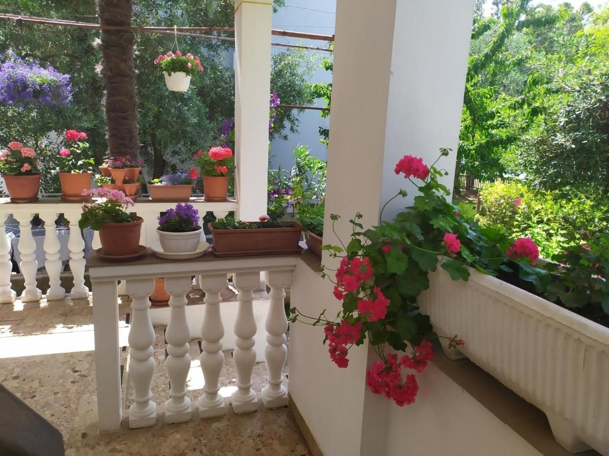 Apartments And Rooms Aleksandra Bibinje Dış mekan fotoğraf